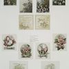 Easter, Christmas, and New Year cards depicting flowers, and landscapes.