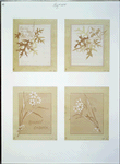 Christmas and Easter cards depicting flowers and leaves.