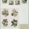 Birthday, Christmas, and Easter cards depicting flowers, and landscapes.