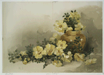 Yellow Study.