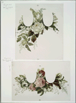 Marriage certificates depicting flowers.