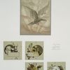 Easter, Christmas, and New Year cards depicting a bird with sunrays, and flowers.