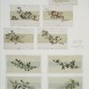 Christmas and New Year cards depicting flowers, plants, and winter landscapes.