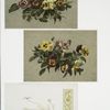 Christmas and Easter cards depicting pansies and decorative design utilizing plant forms