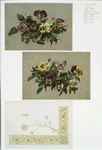 Christmas and Easter cards depicting pansies and decorative design utilizing plant forms