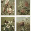Prints of flowers entitled 'Magnolia,' 'Spiraea,' 'Trillium' and 'Thistle and Grasses.'