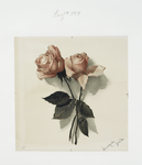 A  print depicting two pink roses