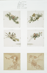 Christmas and Easter cards depicting flowers, foliage and medallions.