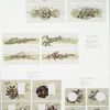 Christmas, Easter, New Year and text cards depicting flowers and butterflies.