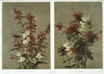 Two prints entitled 'Cardinal flowers' and 'Balm and spiraea'