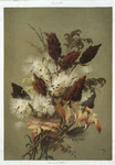 Sumac and milkweed.