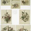 Christmas and Easter cards depicting flowers, landscapes and baskets.