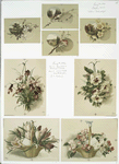 Christmas and Easter cards depicting flowers, landscapes and baskets.