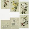 Christmas, New Year and Valentine cards depicting flowers, holly and profiles of girls