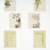 Easter cards depicting flowers and decorative design.