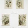 Birthday, Easter and Valentine cards depicting children, flowers, plants, books and singing.
