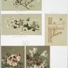 Birthday, Christmas and Easter cards depicting the ocean, sailboats, bees, decorative design and flowers, including: cherry blossoms and apple blossoms.
