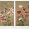 Two prints entitled 'Japan lily' and 'Poppies'