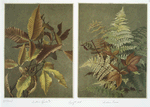 Two prints entitled 'Autumn leaves #3' and 'Autumn ferns'