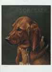 A print with the word 'Sorcerer' and depicting a portrait of a hunting dog