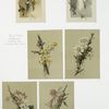 Birthday, Christmas and Easter cards depicting girls, holly, mail and flowers.