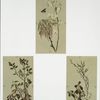 Birthday and Easter cards depicting flowers, bees and budding trees.
