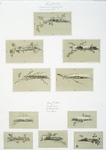 Birthday and Easter cards depicting landscapes, leaves, branches, flowers and ivy.