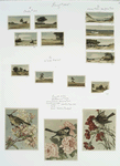 Easter and Christmas cards depicting sparse landscapes with trees; New Year, Christmas, and Valentine cards with flowers and  birds.