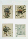 Christmas cards depicting the ocean with botanical ornamentation.