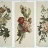 Christmas cards depicting flower arrangements.