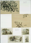 Christmas cards depicting tree branches, people picking fruit and flowers, children throwing snowballs, girl with lamb.