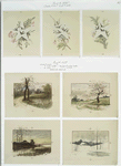 Easter and New Year cards depicting flowers, stars, birds, trees, and seasonal landscapes.