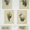 Easter cards depicting flowers.