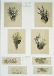 Easter cards depicting flowers.