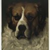 Merchant Prince [large portrait of a Saint Bernard].