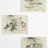 Valentines depicting roses and rose petals.