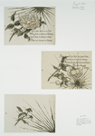 Valentines depicting roses, with messages