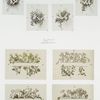 Easter cards depicting flowers and butterflies.