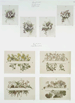 Easter cards depicting flowers and butterflies.