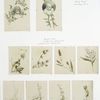 Easter cards depicting flowers and portraits of young children.