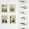 Christmas cards depicting birds and rabbits, singing, dancing, and playing music; cards with flowers.
