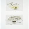 Golden sunsets: cards depicting ocean sunsets.