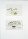 Golden sunsets: cards depicting ocean sunsets.