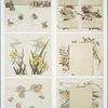 Calendars depicting flowers, berries and landscapes.