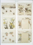 Calendars depicting flowers, berries and landscapes.