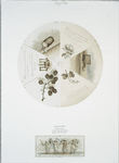 [A Christmas card and mince pie with excerpts from Shakespeare; depicting spices, plants, drinking and cooking ware, four girls holding hands, flowers.]