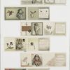 Christmas cards depicting letters, hearts, dolls, flowers and holly.