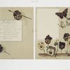 Flower fancies: calendar with text; depicting pansies, a paintbrush and butterflies.