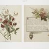 Flower fancies: calendar with text; depicting flowers and an incense burner.