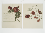 Flower fancies: calendar with text; depicting roses and poppies.